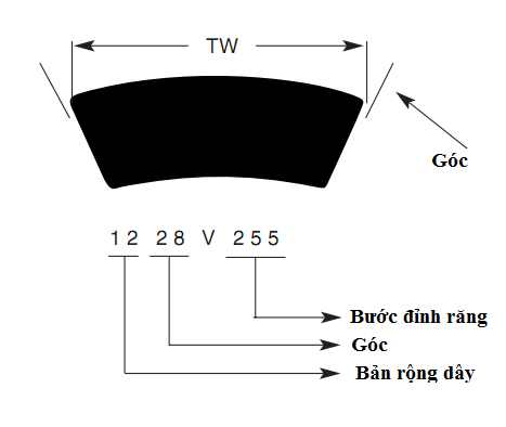 dây curoa bản V với các góc chuẩn đặc thù riêng, dây curoa góc V, dây đai góc V